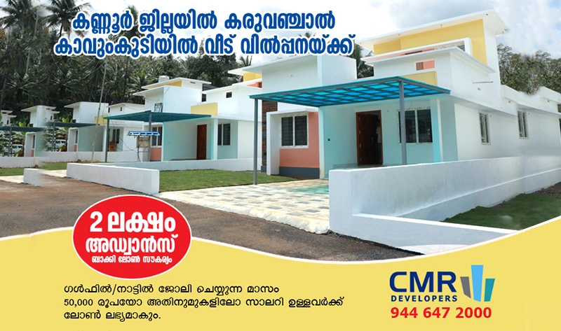 anna Paradise